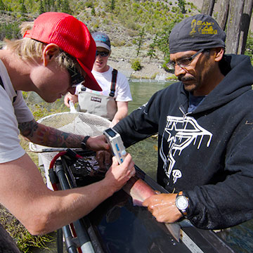 UBC and St'át'imc First Nations partner to study salmon migration